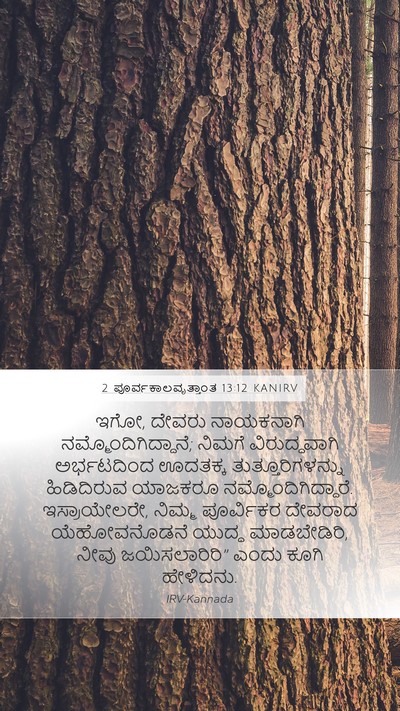 2 ಪೂರ್ವಕಾಲವೃತ್ತಾಂತ 13:12 KANIRV Bible Verse Image