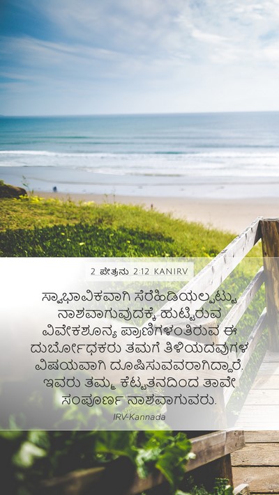 2 ಪೇತ್ರನು 2:12 KANIRV Bible Verse Image