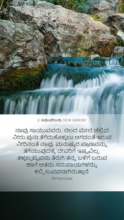 2 ಸಮುವೇಲನು 14:14 KANIRV Bible Verse Image