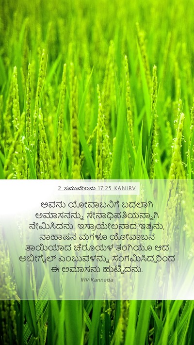 2 ಸಮುವೇಲನು 17:25 KANIRV Bible Verse Image