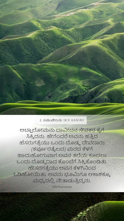2 ಸಮುವೇಲನು 18:9 KANIRV Bible Verse Image