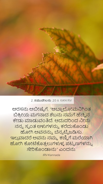 2 ಸಮುವೇಲನು 20:6 KANIRV Bible Verse Image