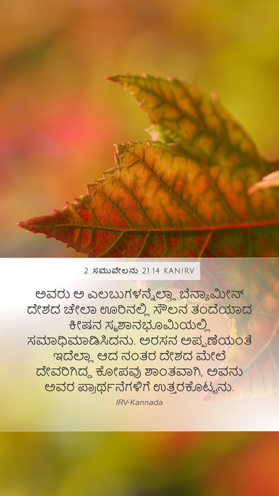 2 ಸಮುವೇಲನು 21:14 KANIRV Bible Verse Image