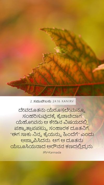 2 ಸಮುವೇಲನು 24:16 KANIRV Bible Verse Image