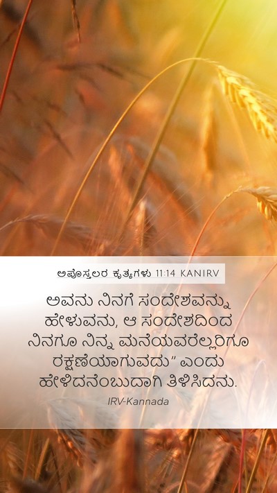 ಅಪೊಸ್ತಲರ ಕೃತ್ಯಗಳು 11:14 KANIRV Bible Verse Image