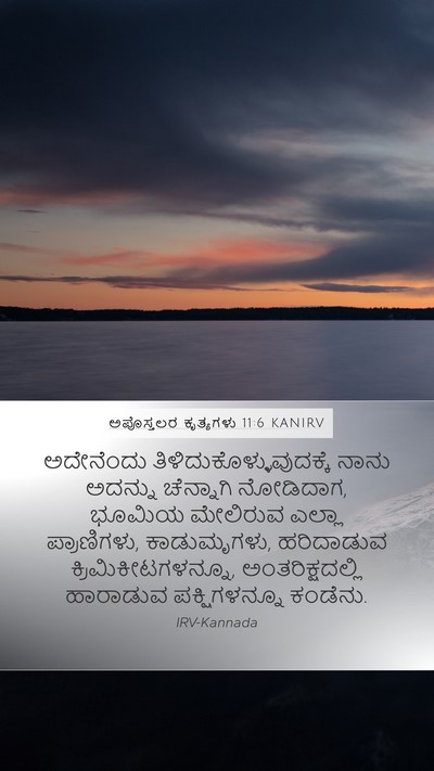 ಅಪೊಸ್ತಲರ ಕೃತ್ಯಗಳು 11:6 KANIRV Bible Verse Image