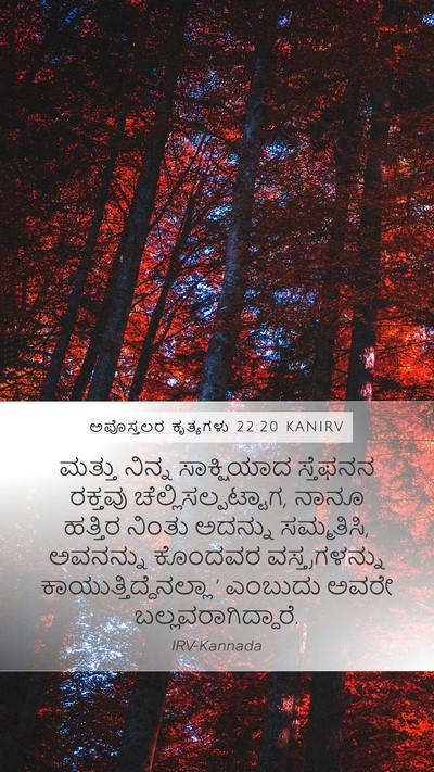 ಅಪೊಸ್ತಲರ ಕೃತ್ಯಗಳು 22:20 KANIRV Bible Verse Image