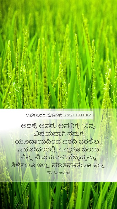 ಅಪೊಸ್ತಲರ ಕೃತ್ಯಗಳು 28:21 KANIRV Bible Verse Image
