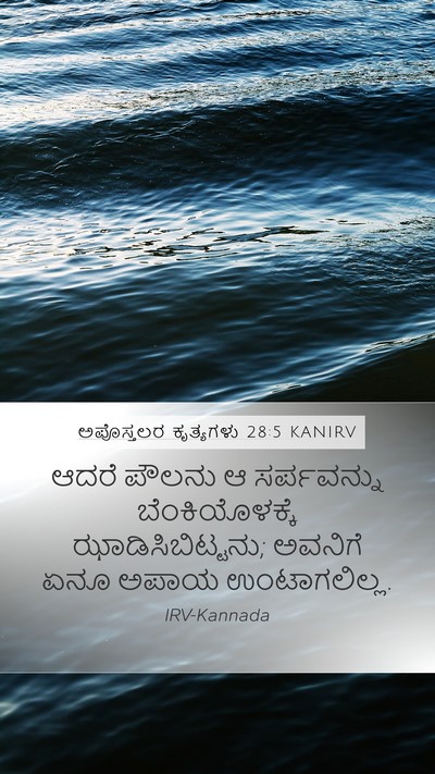 ಅಪೊಸ್ತಲರ ಕೃತ್ಯಗಳು 28:5 KANIRV Bible Verse Image
