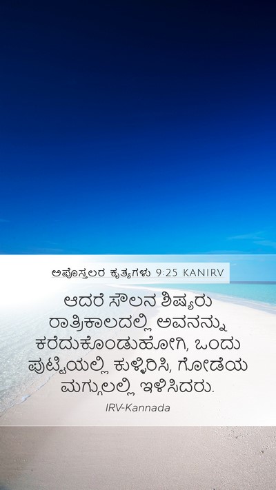 ಅಪೊಸ್ತಲರ ಕೃತ್ಯಗಳು 9:25 KANIRV Bible Verse Image