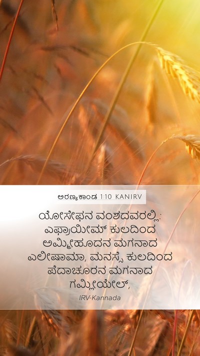 ಅರಣ್ಯಕಾಂಡ 1:10 KANIRV Mobile Phone Wallpaper - ಯೋಸೇಫನ - Mobile Bible Verse Wallpaper