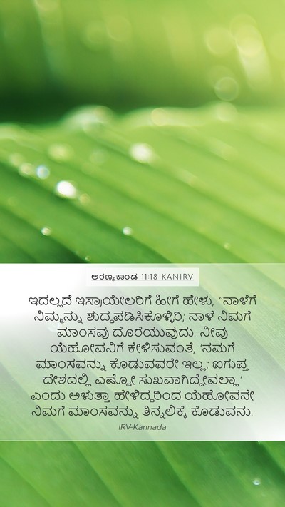 ಅರಣ್ಯಕಾಂಡ 11:18 KANIRV Bible Verse Image