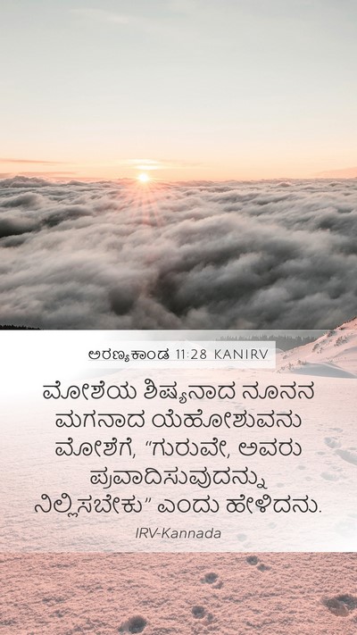ಅರಣ್ಯಕಾಂಡ 11:28 KANIRV Bible Verse Image