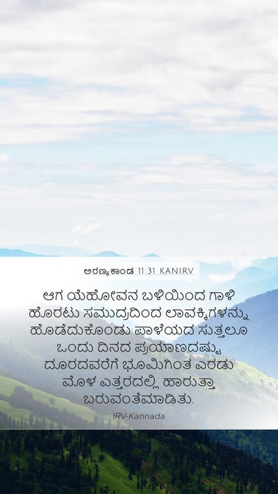 ಅರಣ್ಯಕಾಂಡ 11:31 KANIRV Mobile Phone Wallpaper - ಆಗ ಯೆಹೋವನ ಬಳಿಯಿಂದ - Mobile Bible Verse Wallpaper