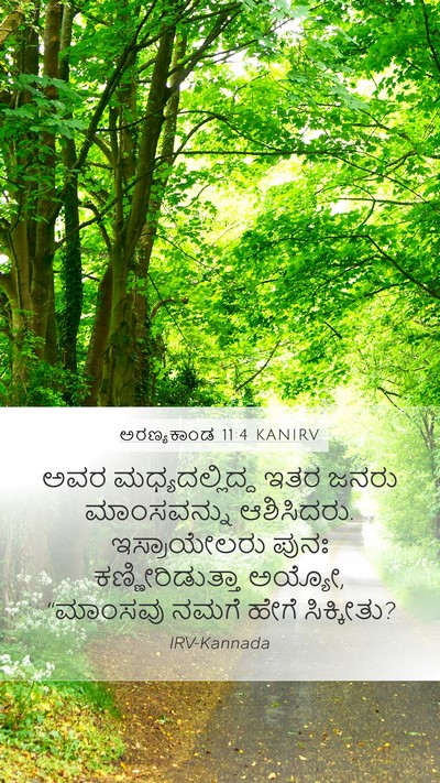 ಅರಣ್ಯಕಾಂಡ 11:4 KANIRV Bible Verse Image