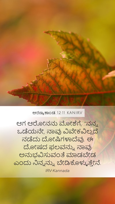 ಅರಣ್ಯಕಾಂಡ 12:11 KANIRV Bible Verse Image