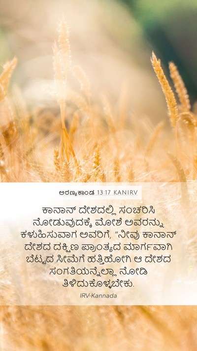 ಅರಣ್ಯಕಾಂಡ 13:17 KANIRV Bible Verse Image