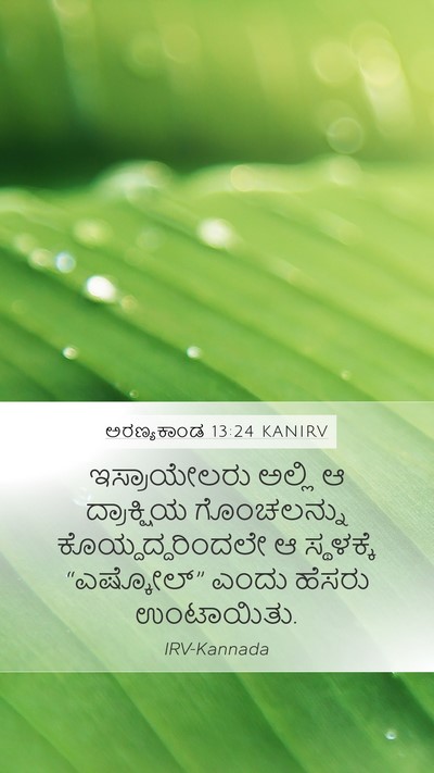 ಅರಣ್ಯಕಾಂಡ 13:24 KANIRV Mobile Phone Wallpaper - ಇಸ್ರಾಯೇಲರು ಅಲ್ಲಿ - Mobile Bible Verse Wallpaper