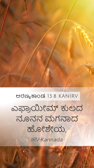 ಅರಣ್ಯಕಾಂಡ 13:8 KANIRV Mobile Phone Wallpaper - ಎಫ್ರಾಯೀಮ್ ಕುಲದ - Mobile Bible Verse Wallpaper