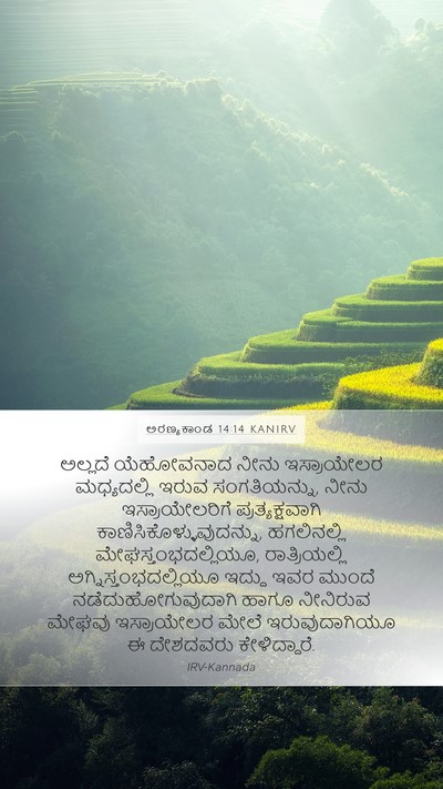 ಅರಣ್ಯಕಾಂಡ 14:14 KANIRV Bible Verse Image