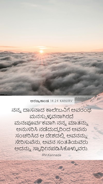 ಅರಣ್ಯಕಾಂಡ 14:24 KANIRV Bible Verse Image