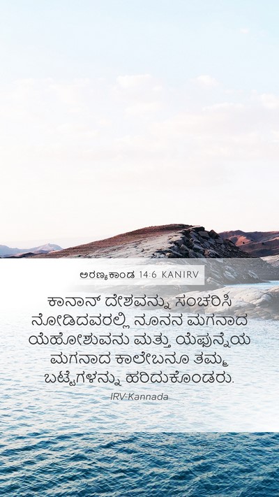 ಅರಣ್ಯಕಾಂಡ 14:6 KANIRV Bible Verse Image