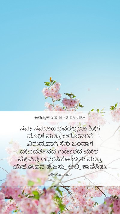 ಅರಣ್ಯಕಾಂಡ 16:42 KANIRV Bible Verse Image