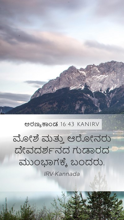 ಅರಣ್ಯಕಾಂಡ 16:43 KANIRV Mobile Phone Wallpaper - ಮೋಶೆ ಮತ್ತು ಆರೋನರು - Mobile Bible Verse Wallpaper