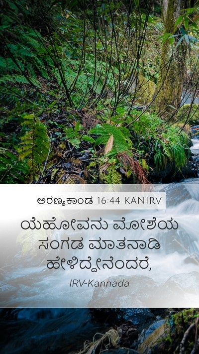 ಅರಣ್ಯಕಾಂಡ 16:44 KANIRV Mobile Phone Wallpaper - ಯೆಹೋವನು ಮೋಶೆಯ - Mobile Bible Verse Wallpaper