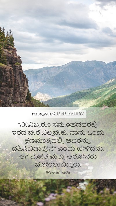 ಅರಣ್ಯಕಾಂಡ 16:45 KANIRV Bible Verse Image