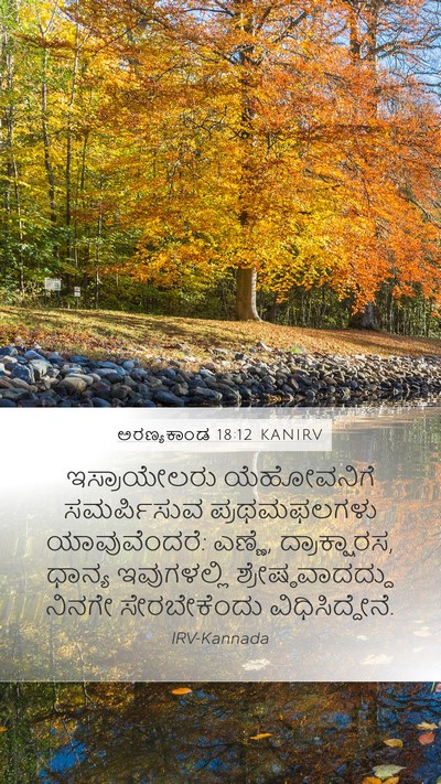 ಅರಣ್ಯಕಾಂಡ 18:12 KANIRV Mobile Phone Wallpaper - ಇಸ್ರಾಯೇಲರು - Mobile Bible Verse Wallpaper