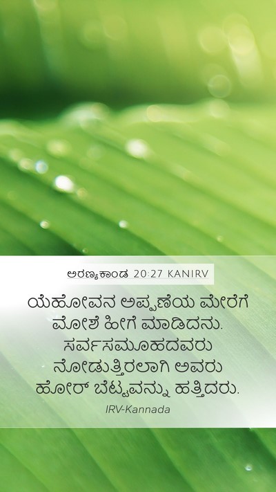 ಅರಣ್ಯಕಾಂಡ 20:27 KANIRV Bible Verse Image