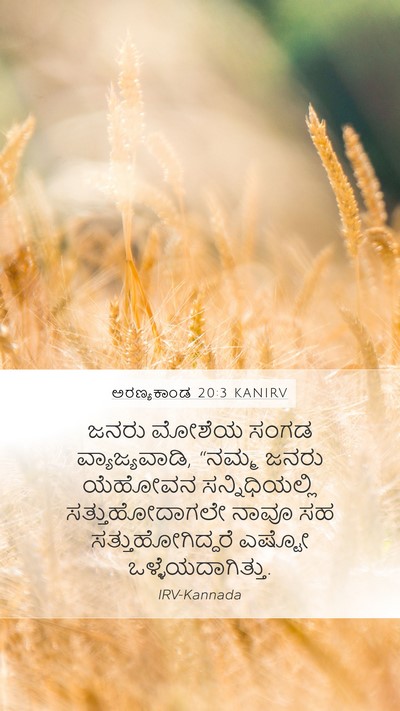 ಅರಣ್ಯಕಾಂಡ 20:3 KANIRV Bible Verse Image