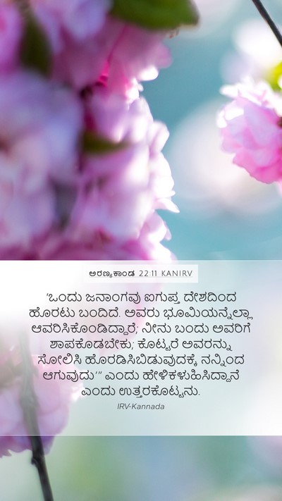 ಅರಣ್ಯಕಾಂಡ 22:11 KANIRV Bible Verse Image