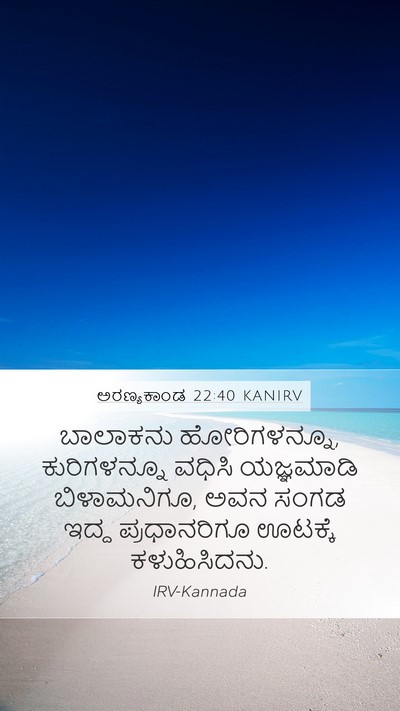 ಅರಣ್ಯಕಾಂಡ 22:40 KANIRV Mobile Phone Wallpaper - ಬಾಲಾಕನು - Mobile Bible Verse Wallpaper