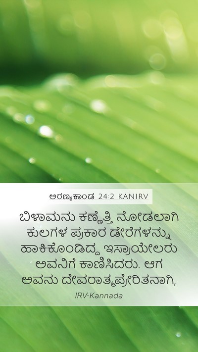 ಅರಣ್ಯಕಾಂಡ 24:2 KANIRV Mobile Phone Wallpaper - ಬಿಳಾಮನು ಕಣ್ಣೆತ್ತಿ - Mobile Bible Verse Wallpaper
