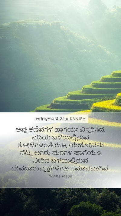 ಅರಣ್ಯಕಾಂಡ 24:6 KANIRV Bible Verse Image