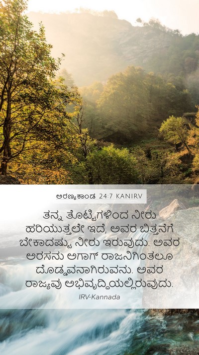 ಅರಣ್ಯಕಾಂಡ 24:7 KANIRV Bible Verse Image