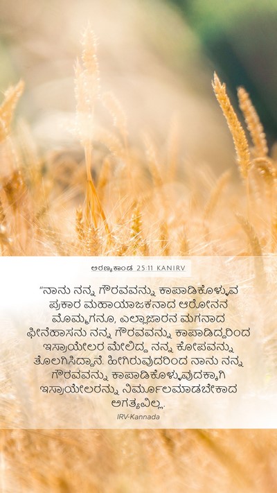 ಅರಣ್ಯಕಾಂಡ 25:11 KANIRV Bible Verse Image