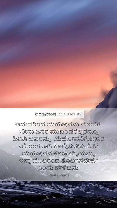 ಅರಣ್ಯಕಾಂಡ 25:4 KANIRV Bible Verse Image