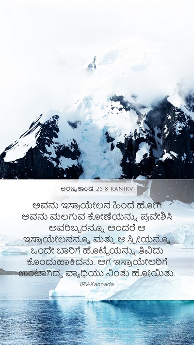 ಅರಣ್ಯಕಾಂಡ 25:8 KANIRV Bible Verse Image