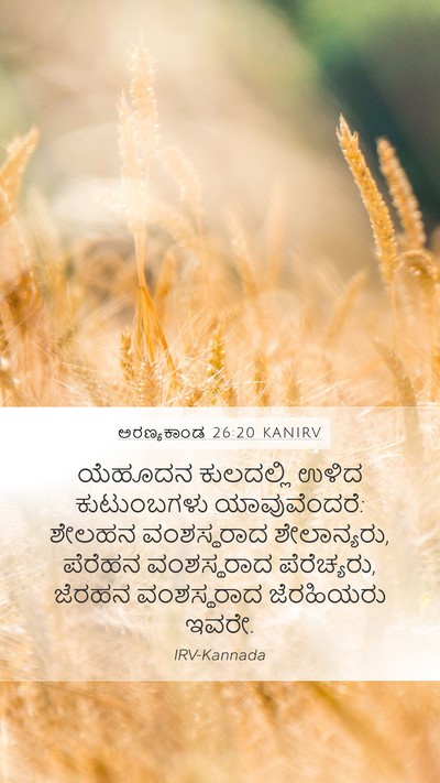 ಅರಣ್ಯಕಾಂಡ 26:20 KANIRV Bible Verse Image