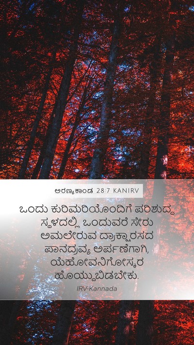 ಅರಣ್ಯಕಾಂಡ 28:7 KANIRV Bible Verse Image