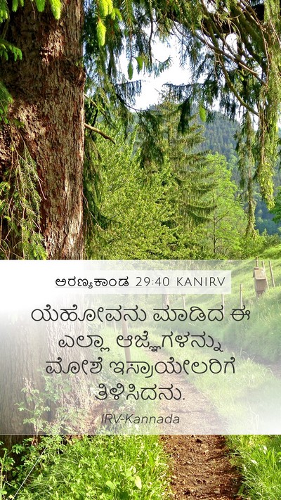 ಅರಣ್ಯಕಾಂಡ 29:40 KANIRV Bible Verse Image