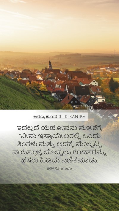 ಅರಣ್ಯಕಾಂಡ 3:40 KANIRV Bible Verse Image