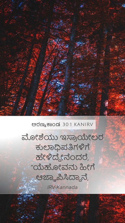 ಅರಣ್ಯಕಾಂಡ 30:1 KANIRV Mobile Phone Wallpaper - ಮೋಶೆಯು ಇಸ್ರಾಯೇಲರ - Mobile Bible Verse Wallpaper