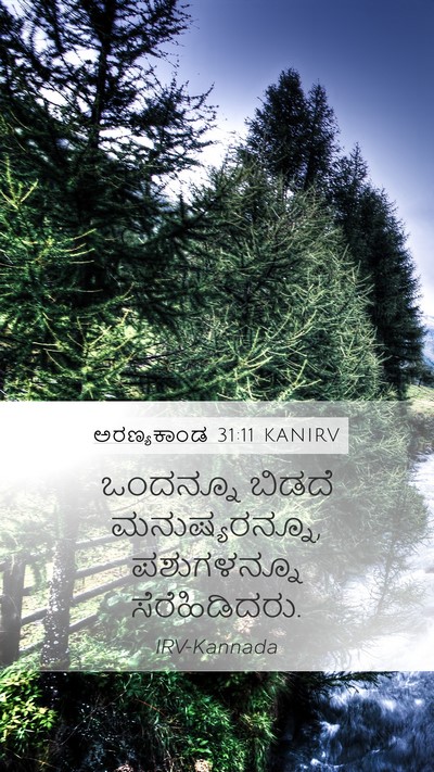 ಅರಣ್ಯಕಾಂಡ 31:11 KANIRV Bible Verse Image