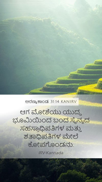 ಅರಣ್ಯಕಾಂಡ 31:14 KANIRV Bible Verse Image