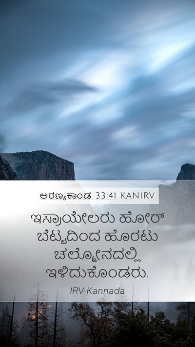 ಅರಣ್ಯಕಾಂಡ 33:41 KANIRV Bible Verse Image