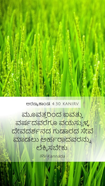 ಅರಣ್ಯಕಾಂಡ 4:30 KANIRV Bible Verse Image